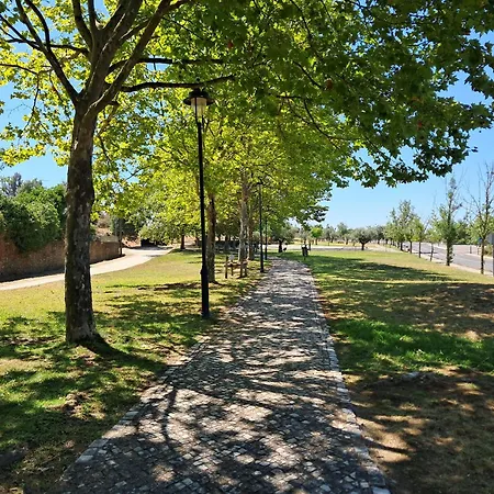 Casa Do Sardao Dom wakacyjny Sardoal