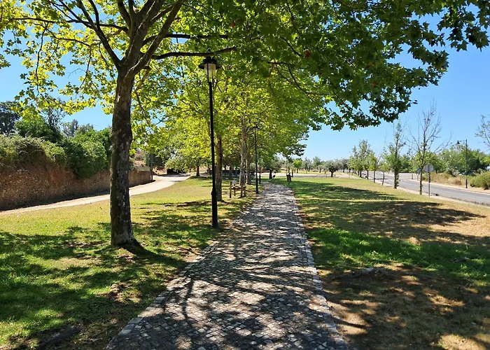 Casa Do Sardao בית נופש Sardoal